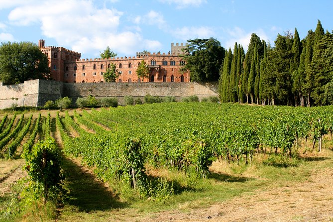 Livorno Port ShorExcursion: Siena San Gimignano Lunch&WineTasting