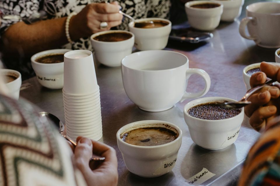 Ljubljana: Flavorful Coffee Degustation Experience