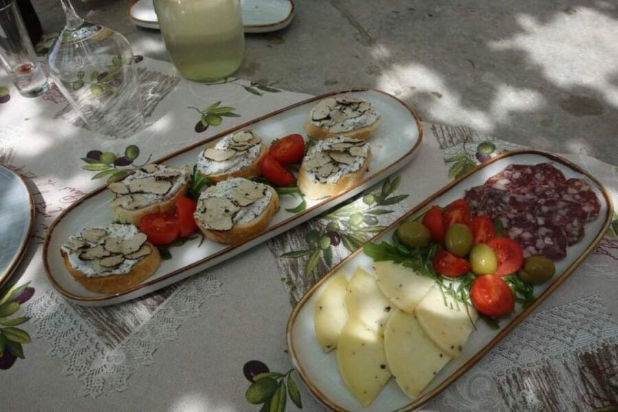 Ljubljana: Guided Truffle Hunting Tour With Hotel Transfers - Good To Know