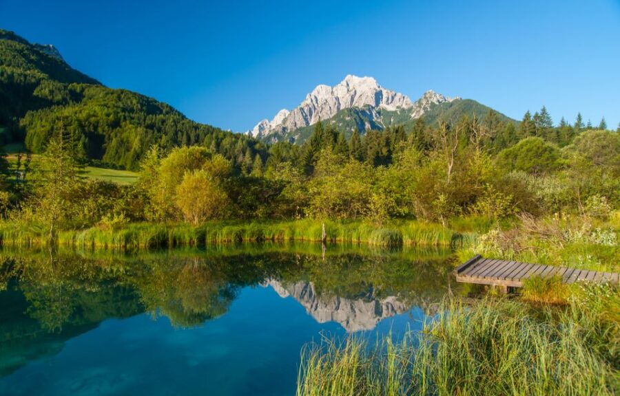 Ljubljana: Kranjska Gora and the Alps