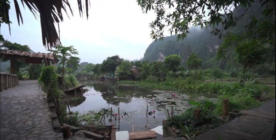 Local Farmer Riding Buffalo - Hoa Lu - Tam Coc Boating Tour - Good To Know