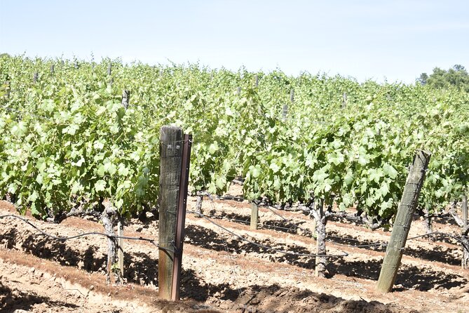 2 Best Wine Tours In Stockton