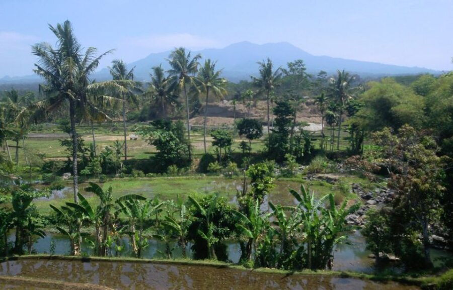4 Best Walking Tours In Lombok