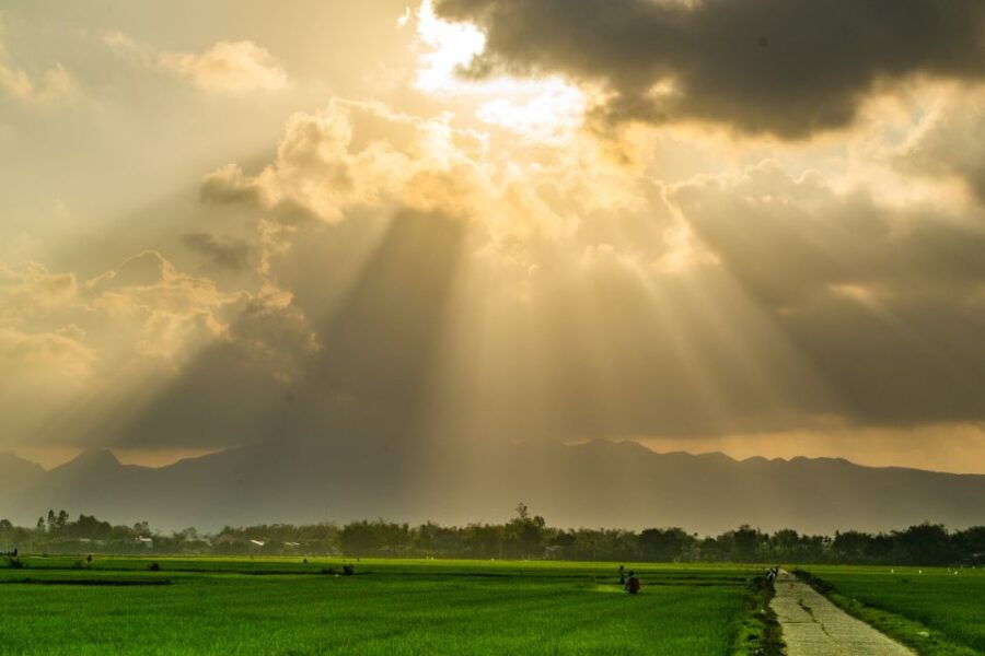 Lost Civilization - My Son Temples Bike Tour in Hoi An - Good To Know