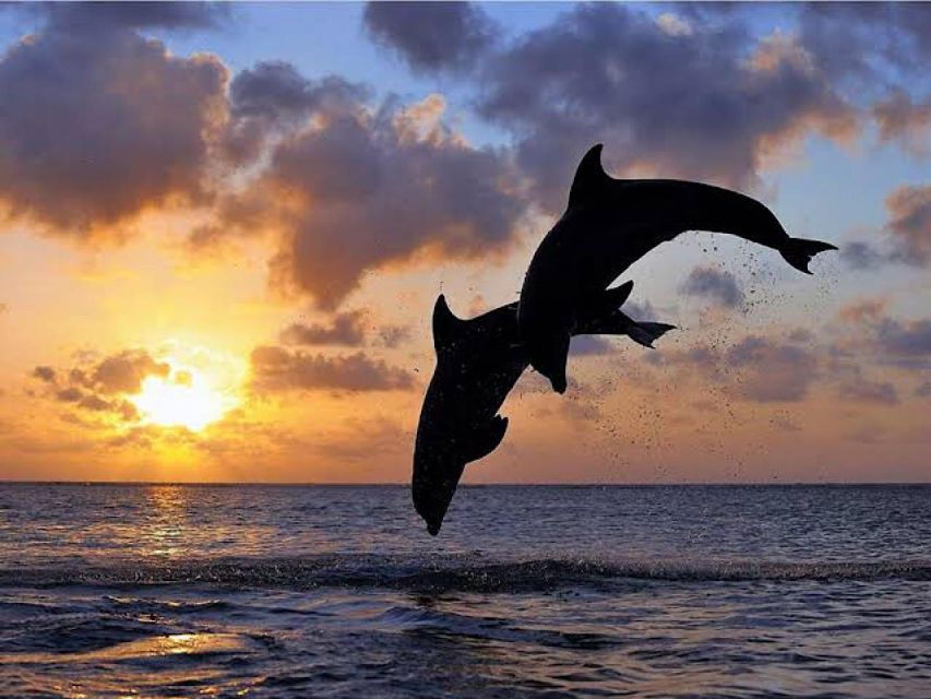 Lovina/Munduk: Dolphin,Snorkeling & Waterfall Fun Activities - Good To Know