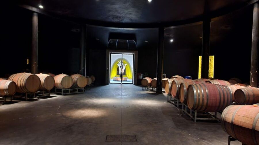 Luján De Cuyo: Journey Through Best Wines and Foods