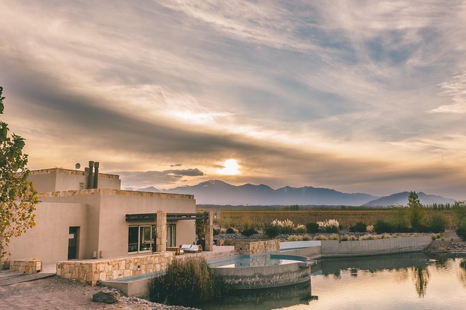 Luxurious Wine Tour for Discerning Guests