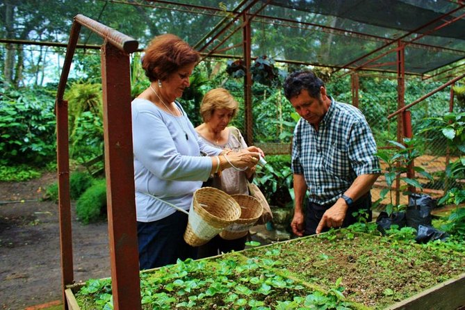 Luxury Coffee Plantation Tour: Gourmet Delights Await - Good To Know