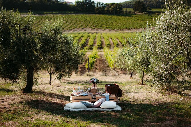 Luxury Picnic Experience in Tuscany - Good To Know