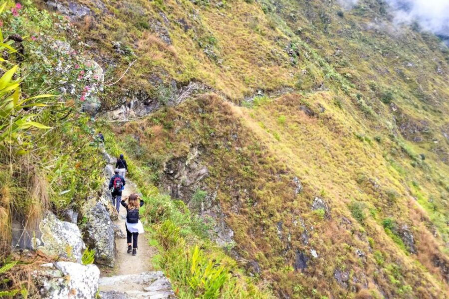 Machu Picchu: 2-Day Group Tour of the Inca Trail - Good To Know