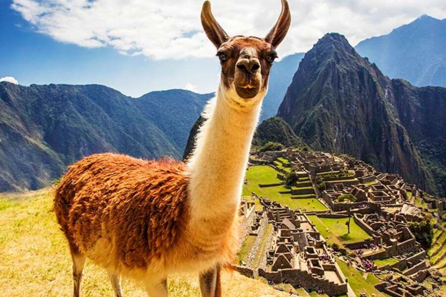 Machu Picchu Huayna Picchu Mountain Private Tour - Good To Know