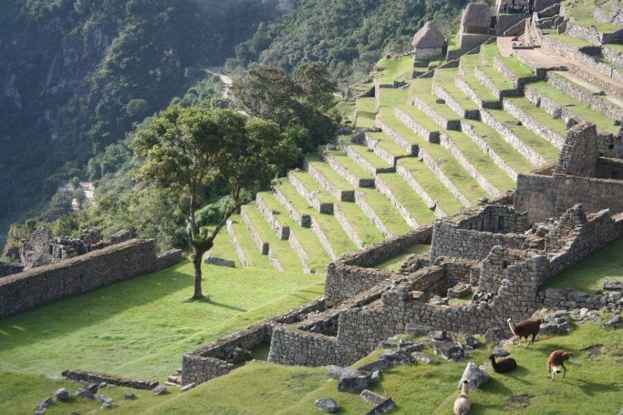 Machu Picchu : Inca Trail 2-Days Group Tour From Cusco