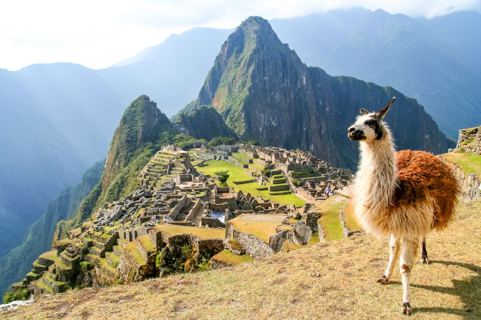 Machu Picchu: Ruins & Machu Picchu Mountain Official Tickets