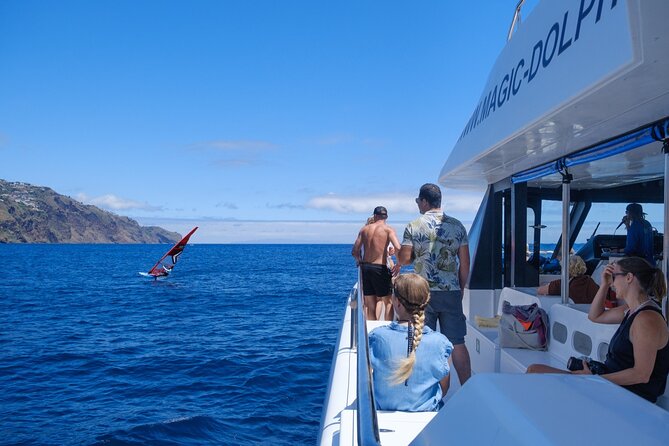 Madeira Dolphin and Whale Watching on a Ecological Catamaran - Cancellation Policy and Refunds