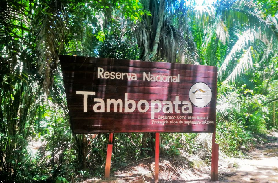 Madre De Dios: Lake Saldoval Visit to the Macaws