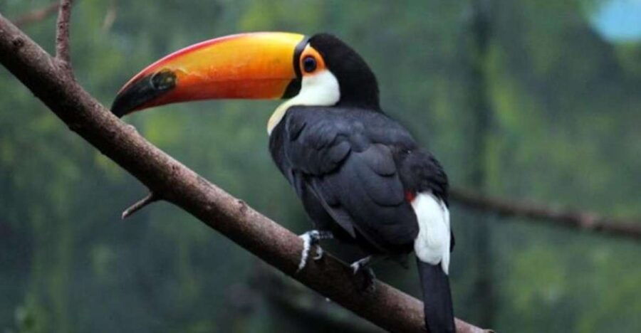 Madrid: Faunia Entry Ticket - Good To Know