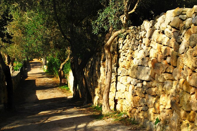 Malta-Dingli Cliffs-Clapham-Palazzo Parisio: Highlights Tour  – Mellieha