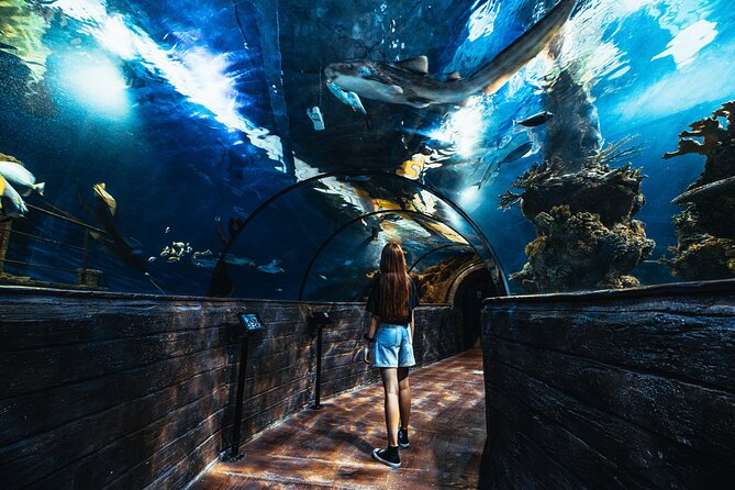 Malta National Aquarium Entrance Ticket  – Mellieha