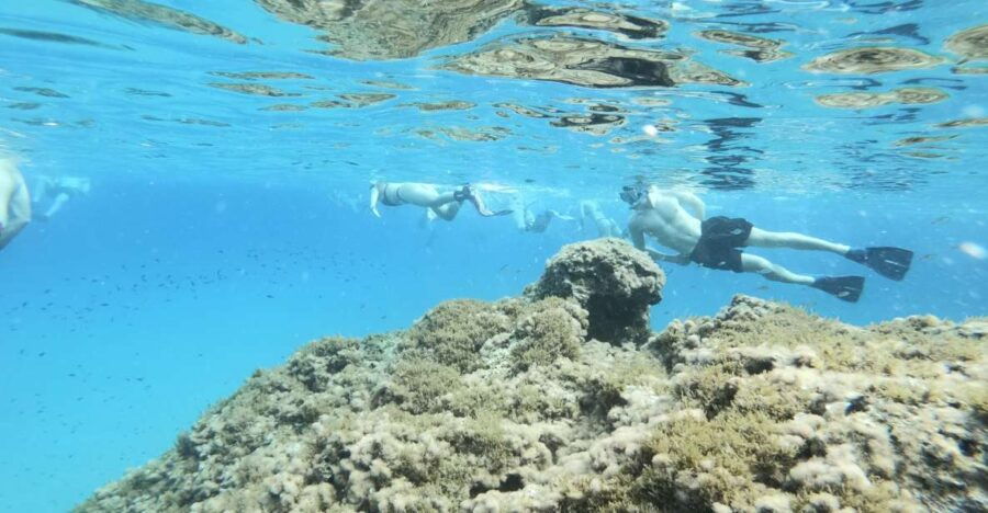 Malta: Snorkeling Tour