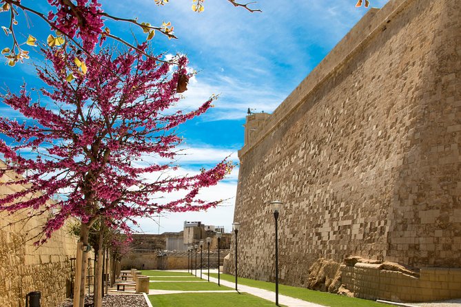 Malta Swimming and Sightseeing Cruise: Three Islands - Itinerary Overview