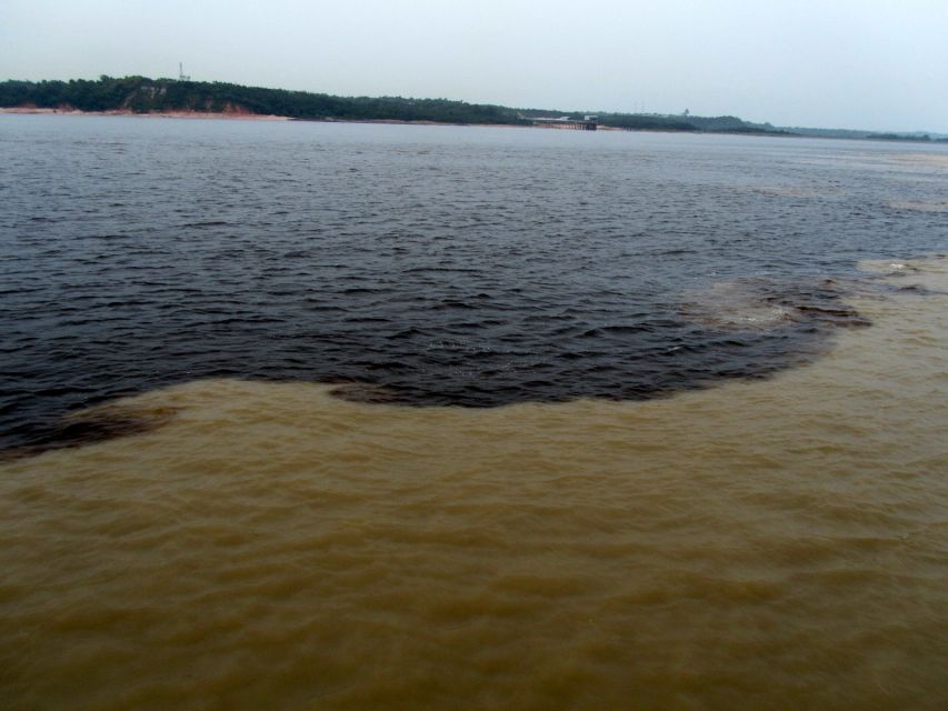 Manaus: Meeting of the Waters & Pink Dolphin Tour With Lunch