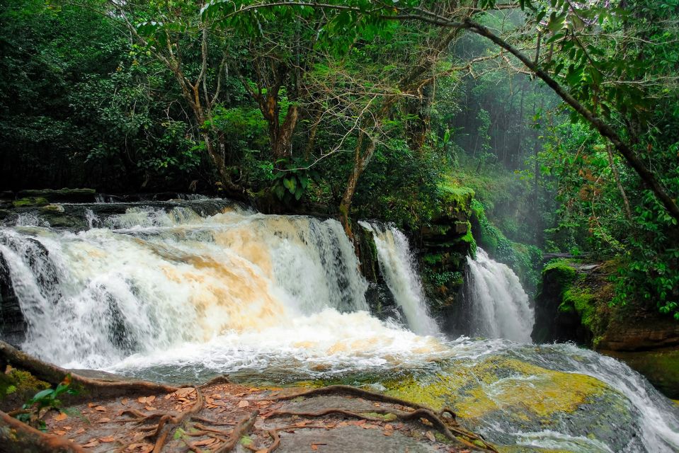 Manaus: Presidente Figueiredo Caves and Waterfalls Tour
