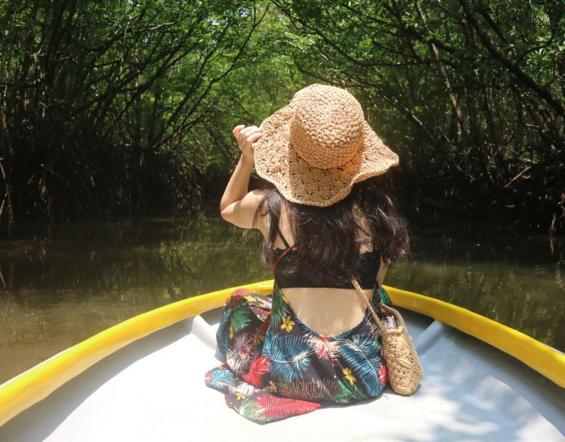 Mangrove Day Tour - Bintan - Mangrove Conservation Importance