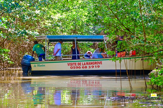 Mangrove Guided Tour - Good To Know