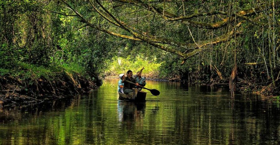 Manu Amazon Tours 5 Days - Good To Know