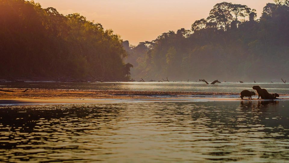 Manu Jungle Tour 3 Days - Booking and Logistics for Manu Jungle Tour