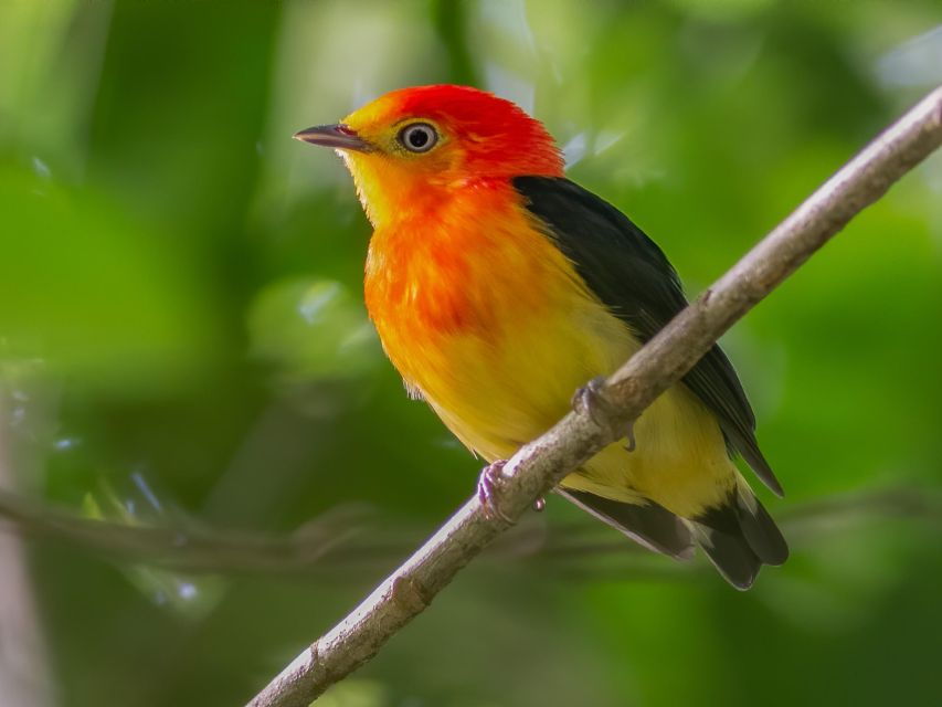 Manu Wildlife Peru Tour 5 Days - Good To Know