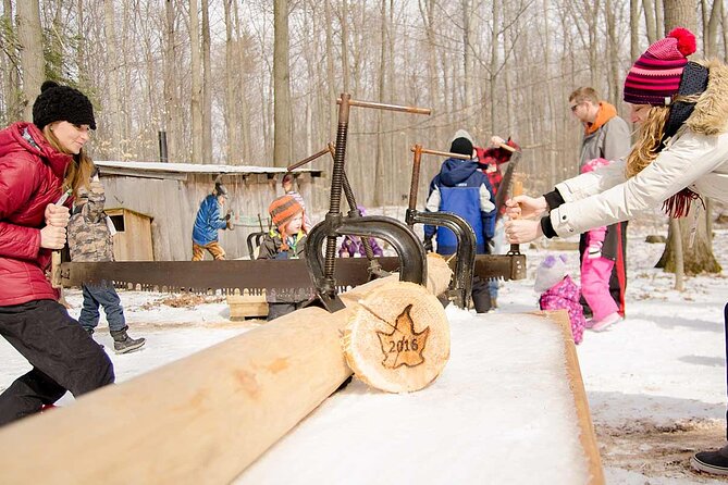 Maple Syrup Tour on the Sugar Bush Trek - Snacks on the Tour