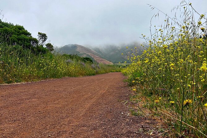 Marin County Gravel Bike