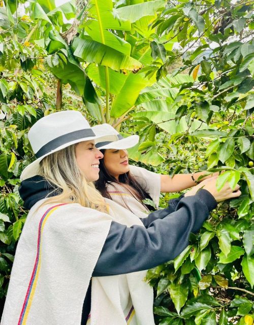 Medellín Coffee Farm Tour With Trolley and Cable Car Ride - Booking Details