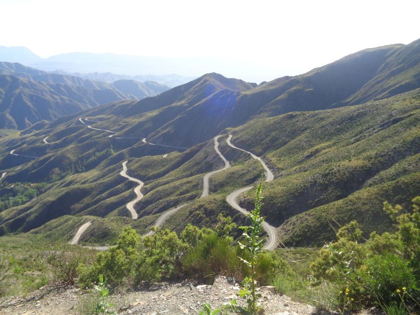 Mendoza: High Andes Mountain Private Guided Tour - Tour Duration and Flexibility