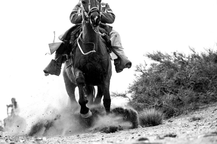 Mendoza: Horseback Riding in the Andes With Authentic BBQ - Good To Know