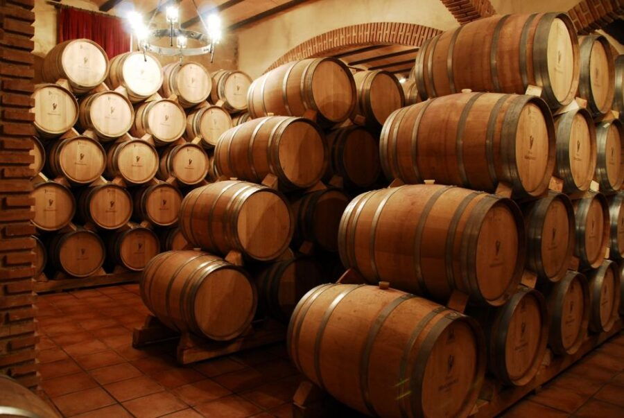 Mendoza: Small-Group Wineries Tour With Tasting and Lunch