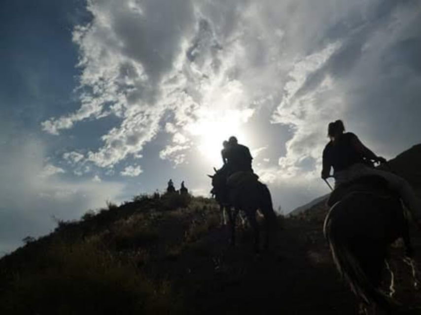 Mendoza: Sunset Horse Back Riding in the Mountains and BBQ - Booking Details