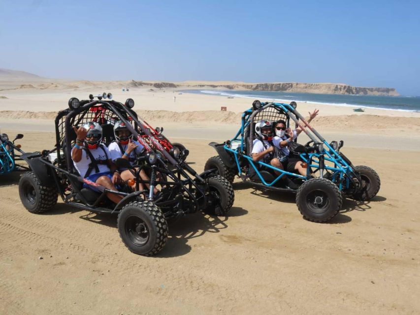 Minibuggy Adventure and Visit to the Paracas Reserve