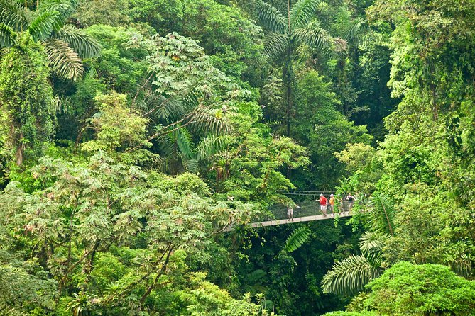 Mistico Hanging Bridges Admission Ticket