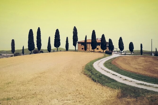 MONTALCINO 2 Top Wineries and a Restaurant. Vip Limousine Service - Winery Selection