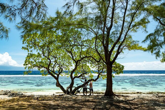 Moorea Highlights Private Tour: Natural and Cultural Attraction - Cultural Experiences