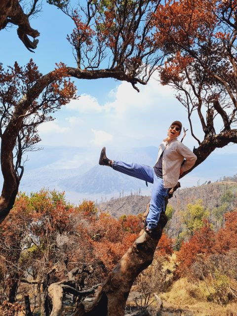 Mount Bromo Sunrise 1 Day Private Tour From Surabaya/Malang - Activity Details