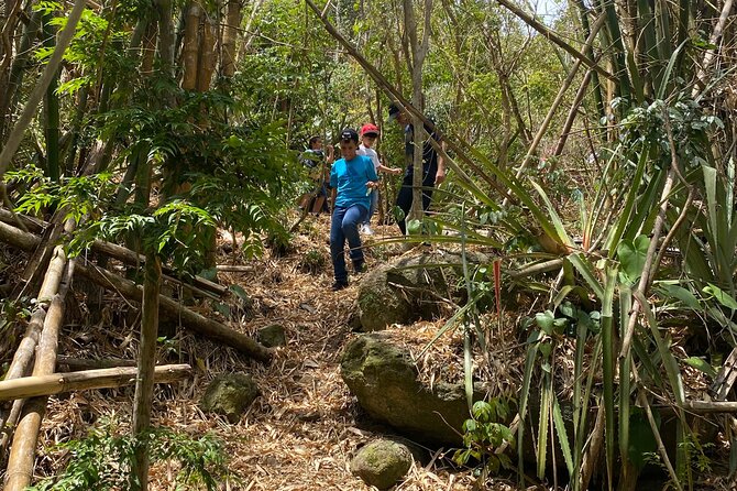 Mount Healthy National Park Private Hike Tour in Tortola - Good To Know