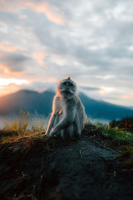 Mt. Batur Sunrise Trekking and Batur Natural Hot Spring - Good To Know