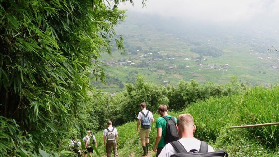 Muong Hoa Valley: Rice Fields, Villages, Mountain Views