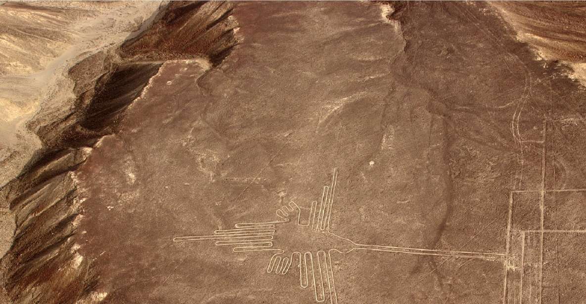 Nasca Lines Overflight With Lunch From Lima - Highlights
