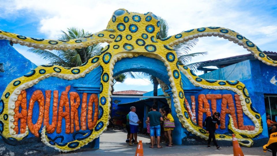 Natal: Genipabu Day Trip