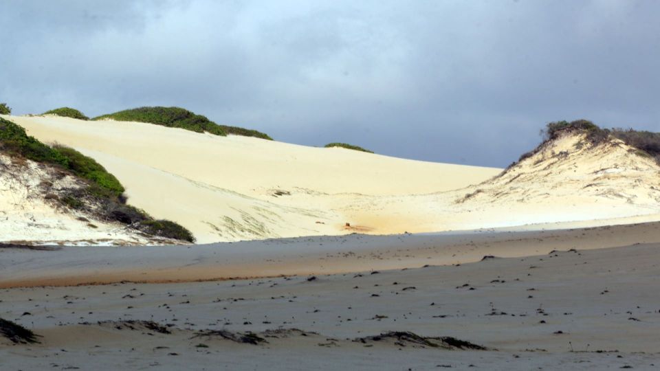 Natal: South Coast Day Tour by 4X4 With Pickup - Tour Overview