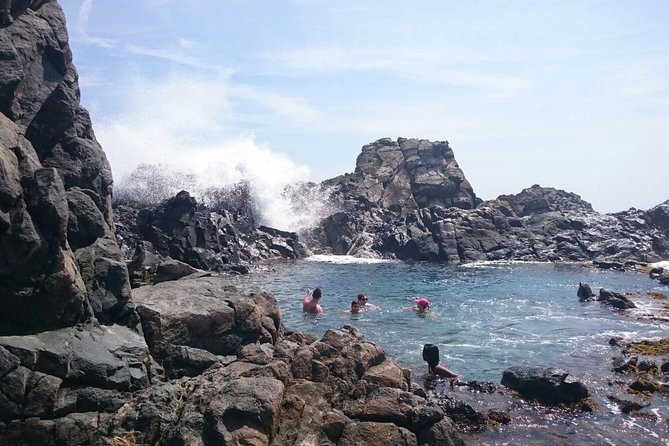 Natural Pool Horseback Riding Tour in Aruba - Pricing and Booking